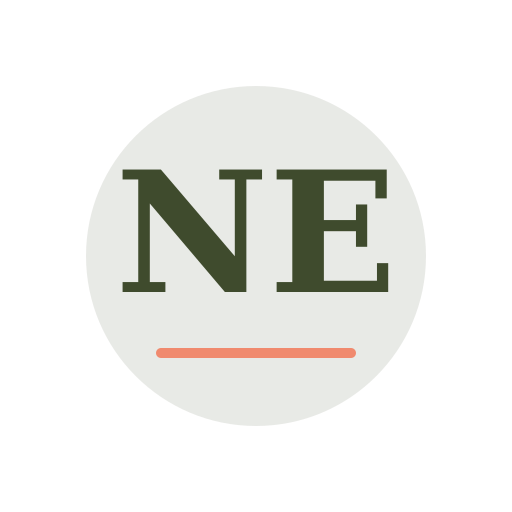 North Estates Air Duct Services logo